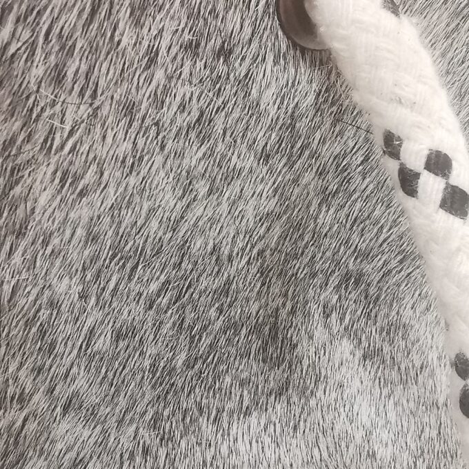 Zarážka do dveří Luxury Cowhide BRAZÍLIE GREY 17x20cm