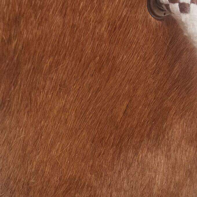 Zarážka do dveří Luxury Cowhide BRAZÍLIE BROWN 17x20cm