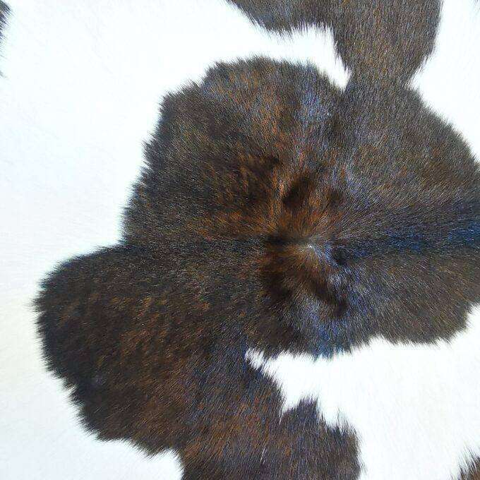 Telecí kůže Luxury Cowhide BRAZÍLIE BROWN & WHITE 100x80cm