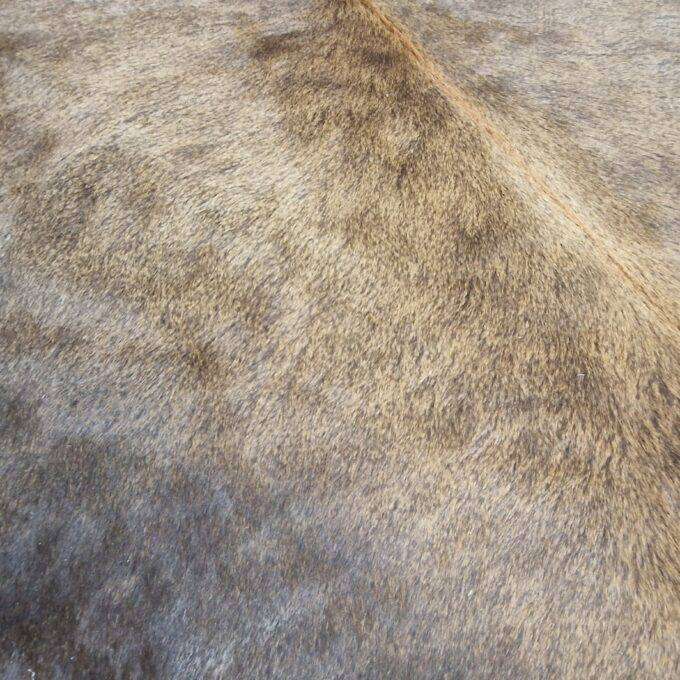 Hovädzia koža Luxury Cowhide BRAZÍLIA SUPER PROMO DARK 230x210cm